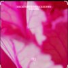 Cover Helsloot & Mees Salome - Solace (Extended Mix) Helsloot & Mees Salome - Solace (Extended Mix)