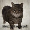 Cover DJ Cheaz - Effector DJ Cheaz - Effector