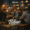 Cover MELIN - Півас MELIN - Півас