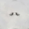 The Chainsmokers & Oaks - Echo