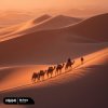 DEMER - My Pace