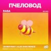 Cover RASA - Пчеловод (Dobrynin & Alex Shik Radio Edit) RASA - Пчеловод (Dobrynin & Alex Shik Radio Edit)