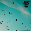 Cover Roberto Pedoto - I Want To Be Free Roberto Pedoto - I Want To Be Free