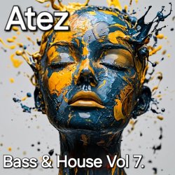 Cover Bass House Vol7.
