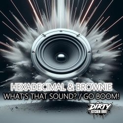 Cover Hexadecimal & DJ Brownie - What's That Sound
