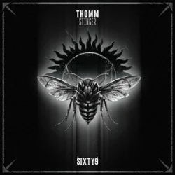 Cover THOMM & Blasterjaxx - Stinger