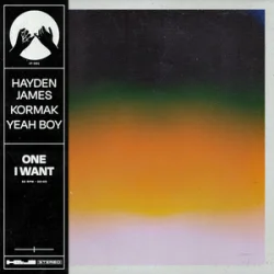 Cover Hayden James & Kormak & Yeah Boy - One I Want