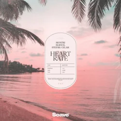 Cover Montri & Survol - Heart Rate (feat. Stefan Celar)