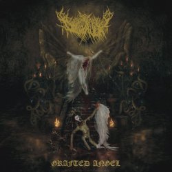 Cover Dollhaver - Spitting Moths