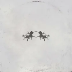 Cover The Chainsmokers & Oaks - Echo