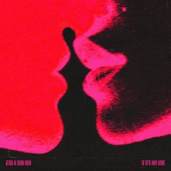 Cover Zerb & Rita Ora - If It’s Not Love