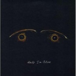 Cover Metric - Help I'm Alive