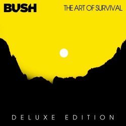 Cover Bush - More Than Machines