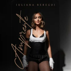 Cover Iuliana Beregoi - Haos si iubire