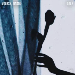 Cover VOLB3X & Siadou - Dale