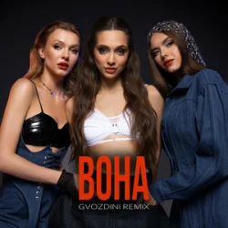 Cover Mirami - Вона (Gvozdini Remix)