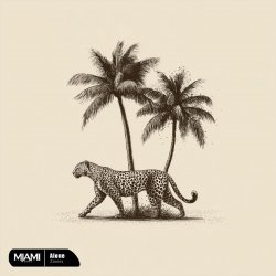 Cover Zmeex - Shadow (Ozzem Remix)