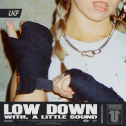 Cover Rova & A Little Sound - Low Down