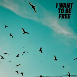 Cover Roberto Pedoto - I Want To Be Free