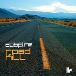 Cover Dubfire - Roadkill (EDX’s Acapulco At Night Remix)