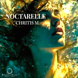 Cover Chritis M - Reverie (Original Mix)