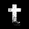 Cover Timagor - Toxic Pulse Timagor - Toxic Pulse