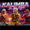 Cover Kalimba in the night - Euro disco summer vibes Kalimba in the night - Euro disco summer vibes