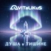 Cover ViTaLiKuS - Душа в тишине ViTaLiKuS - Душа в тишине
