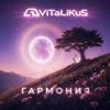 Cover ViTaLiKuS - Гармония ViTaLiKuS - Гармония