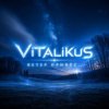 Cover ViTaLiKuS - Ветер принёс... ViTaLiKuS - Ветер принёс...