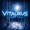 Cover ViTaLiKuS - Первый снег ViTaLiKuS - Первый снег