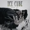 Cover Ice Cube - Freedumb Ice Cube - Freedumb