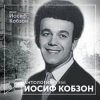 Cover Иосиф Кобзон - Летят перелётные птицы Иосиф Кобзон - Летят перелётные птицы