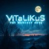 Cover ViTaLiKuS - Ещё майская ночь ViTaLiKuS - Ещё майская ночь