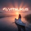 Cover ViTaLiKuS - Мы встречались с тобой на закате ViTaLiKuS - Мы встречались с тобой на закате