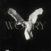 Cover LONOWN & riserayss - worry (Slowed) LONOWN & riserayss - worry (Slowed)
