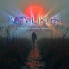 Cover ViTaLiKuS - Те же росы, откосы, туманы… ViTaLiKuS - Те же росы, откосы, туманы…