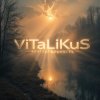 Cover ViTaLiKuS - Безглагольность ViTaLiKuS - Безглагольность