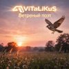 Cover ViTaLiKuS - Ветреный поэт ViTaLiKuS - Ветреный поэт