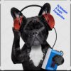 Dj Bobojon - A Dog's Perspective