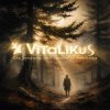 Cover ViTaLiKuS - Ель рукавом мне тропинку завесила… ViTaLiKuS - Ель рукавом мне тропинку завесила…