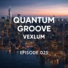 Cover Vexlum - Quantum Groove 025 Vexlum - Quantum Groove 025