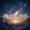 Cover ViTaLiKuS - Что делаешь, мой друг... ViTaLiKuS - Что делаешь, мой друг...