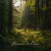 Cover Anna Svet - Убежать бы в леса Anna Svet - Убежать бы в леса