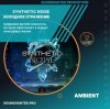 Cover Synthetic Noise - Холодное отражение Synthetic Noise - Холодное отражение