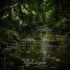Cover Anna Svet - Черёмуха Anna Svet - Черёмуха