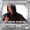 Cover Dj Piligrim - Ты меня забудь Dj Piligrim - Ты меня забудь