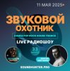 Cover Звуковой Охотник - Радиошоу Выпуск #33 Звуковой Охотник - Радиошоу Выпуск #33