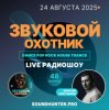 Звуковой Охотник - Радиошоу Выпуск #48