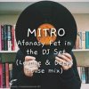 Cover MITRO - Afanasy Fet in the DJ Set (Lounge & Deep House mix) MITRO - Afanasy Fet in the DJ Set (Lounge & Deep House mix)